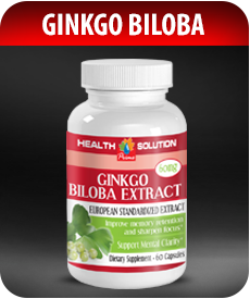 Ginkgo Biloba Extract by Vitamin Prime